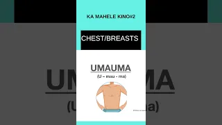 How to say UMAUMA (Chest/Breasts) in Hawaiian - Body Part3 #short