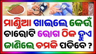 Odia Gk ।। General Knowledge Odia ।। Odia Gk Questions And Answers ।। Odia Gk Quiz ।। Sadharan Gyan