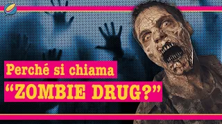 Xilazina | La Sostanza Che Rende ZOMBIE