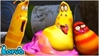 LARVA Season 3 Episode 500 ~ 603 | Best Cartoons 2022 | Comics | Mini Series from Animation LARVA