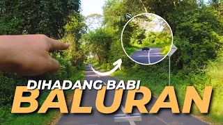 Ngantuk, Kurang Tidur, Dihadang Babi Pula ! | Eps. 3 Solo Touring Jakarta Bali