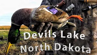 North Dakota Duck Hunting