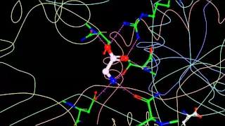 NMDA Receptor