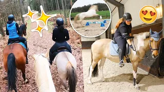 Heerlijke buitenrit, cavaletti's SPRINGEN & bij een LOOKALIKE kijken! | felinehoi VLOG #521