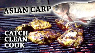 SILVER CARP: Catch 'n Cook - Grilled vs Fried REVIEW