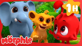 Morphle vs The Giant Animals! | Animals for Kids | Funny Cartoons | Learn about Animals