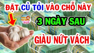 Thầy Phong Thuỷ Chỉ Rõ Đặt Củ Tỏi Chỗ Này 3 Ngày Sau Tiền Về Ùn Ùn ĐỔI ĐỜI ĐẠI GIA | PQPT