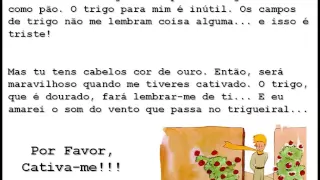 Cativar Trecho do Livro O Pequeno Príncipe