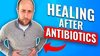 8 Easy Ways To Heal Your Gut After Antibiotics