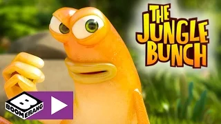 The Jungle Bunch | Studying Animals That Fight | Boomerang UK