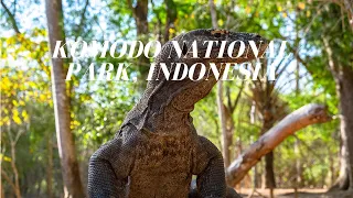 Komodo National Park; A Treasure Trove of Natural Beauty in Indonesia