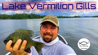 Lake Vermilion Bluegills S3 E11