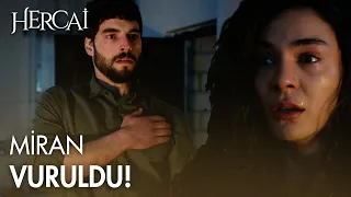 Reyyan, Miran'ı vurdu! - Hercai Efsane Sahneler