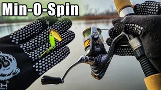 Bank Fishing for Trout with Inline Spinners (My Wife CURSED ME!)