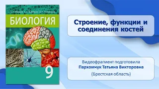 Опорно-двигательный аппарат. Тема 15. Строение, функции и соединения костей