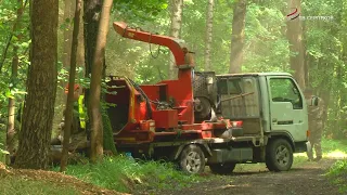 В Серпухове идёт уборка неликвидной древесины