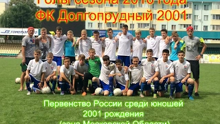 Голы сезона 2016 года ФК Долгопрудный 2001