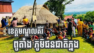 ភូមិពូតាំង ភូមិជនជាតិភ្នង ខេត្តមណ្ឌលគីរី