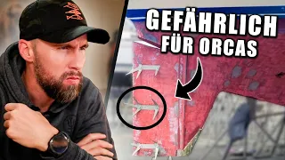 Lebensgefährlich für Orcas! Diese “Waffe“ muss verboten werden | Robert Marc Lehmann