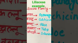 # trick to learn liliaceae family examples🤗🤗