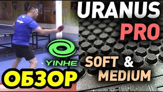 Yinhe URANUS PRO Review & Compare - Soft and Medium versions, EXCELLENT control short pips test