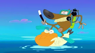 (SEASON 1) 🐦Zig & Sharko BEST CLIP HD 🐦 #PELICAN #55