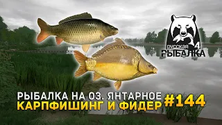 Рыбалка на оз. Янтарное. Карпфишинг и фидер - Русская Рыбалка 4 #144