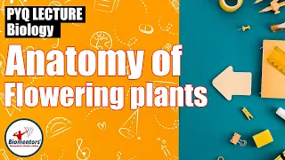 Anatomy of Flowering Plants | Revision Through PYQ Series L - 6 | NEET Endgame 2021 | Geetendra Sir