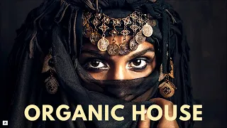 Cafe De Anatolia - Organic House