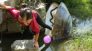 🔥🔥The beauty was stunned when she caught the giant clam, all of which were beautiful pearls