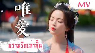 [MV] ความรักเท่านั้น (唯爱) - Faye (詹雯婷) | Ost. Love You Seven Times ซับไทย