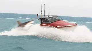 Great White Shark Grabs 16 Year Old Girl Off Boat!