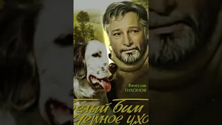 Фильм Белый Бим Черное Ухо