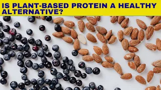 Is Plant-Based Protein a Healthy Alternative? - What the Research Says