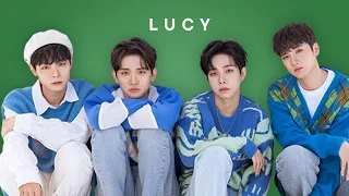 💿 루시 플레이리스트 | LUCY playlist