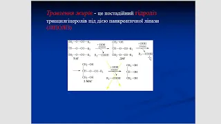 Обмін ліпідів 1.  Перетравлення та всмоктування.