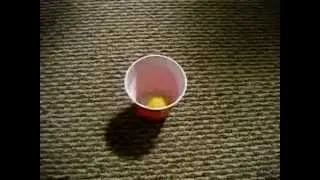 Epic Pong Shots 3.0