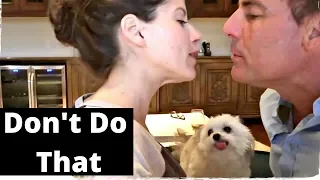 It's TIME for SUPER LAUGH! - Best FUNNY CAT videos 2020 try not to laugh