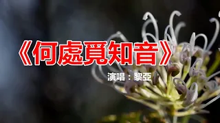 一曲肝腸斷，天涯何處覓知音，一首《何處覓知音》勾起滿滿的回憶！