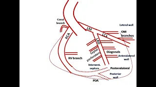 ECG course: Localization of Myocardial Ischemia, Dr. Sherif Altoukhy