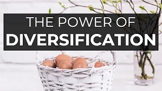 The Power of Diversification: How to Build a Successful Investment Portfolio