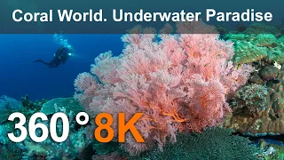 Coral World. Underwater Paradise. Philippines. 360 underwater video in 8K
