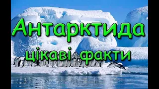 Антарктида цікаві факти. Найхолодніший, найвітряніший, найвищий і найсухіший материк на планеті.