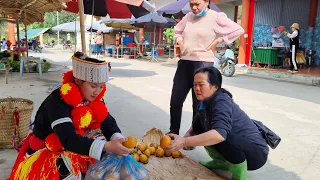 Harvest citrus and bring to the market to sell | Trieu Thi Mui