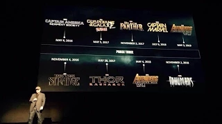 Marvel Phase 3 Announcement! Avengers: Infinity War, Black Panther, Civil War and More!!
