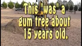 Caterpillar 305 Stump Removal.wmv