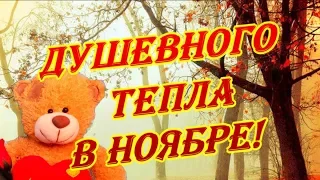 Счастливого ноября и прекрасной погоды в доме и на улице!