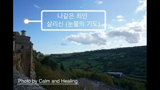 ㅣAmazing Grace 나같은 죄인 살리신 ㅣ피아노 ㅣ 바흐 무반주 첼로가 연상되는 반주 ㅣ치유ㅣ묵상ㅣ기도 l 태교 l 명상ㅣCCM ㅣ가톨릭 ㅣ BGM ㅣ아침기도 ㅣ 낮기도 ㅣ