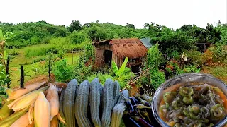 A taste of life in the Countryside. Harvesting period. Buhay sa probinsya. Biag ti Away by Balong