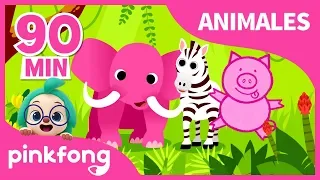 Canciones de Animales para Niños | Animales | Pinkfong Canciones Infantiles